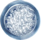 Sodium Hyaluronate ingredient